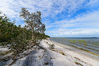 Palmarium coast - 2, Madagascar https://www.jungledragon.com/image/88959/palmarium_coast_madagascar.html<br />
https://www.jungledragon.com/image/88961/palmarium_coast_-_3_madagascar.html<br />
https://www.jungledragon.com/image/88962/palmarium_coast_-_4_madagascar.html Africa,Geotagged,Madagascar,Madagascar 2019,Palmarium reserve,Winter,World