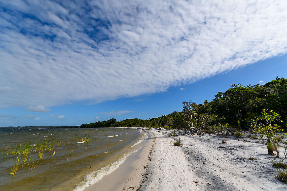 Palmarium coast - 3, Madagascar <figure class="photo"><a href="https://www.jungledragon.com/image/88959/palmarium_coast_madagascar.html" title="Palmarium coast, Madagascar"><img src="https://s3.amazonaws.com/media.jungledragon.com/images/2/88959_thumb.jpg?AWSAccessKeyId=05GMT0V3GWVNE7GGM1R2&Expires=1770854410&Signature=TlJ%2BShggnyCKiR2mFBGcRRB8HKs%3D" width="200" height="134" alt="Palmarium coast, Madagascar https://www.jungledragon.com/image/88960/palmarium_coast_-_2_madagascar.html<br />
https://www.jungledragon.com/image/88961/palmarium_coast_-_3_madagascar.html<br />
https://www.jungledragon.com/image/88962/palmarium_coast_-_4_madagascar.html Africa,Geotagged,Madagascar,Madagascar 2019,Palmarium reserve,Winter,World" /></a></figure><br />
<figure class="photo"><a href="https://www.jungledragon.com/image/88960/palmarium_coast_-_2_madagascar.html" title="Palmarium coast - 2, Madagascar"><img src="https://s3.amazonaws.com/media.jungledragon.com/images/2/88960_thumb.jpg?AWSAccessKeyId=05GMT0V3GWVNE7GGM1R2&Expires=1770854410&Signature=qxqHZTs6zy0OJvL7hKXT0Vj27SI%3D" width="200" height="134" alt="Palmarium coast - 2, Madagascar https://www.jungledragon.com/image/88959/palmarium_coast_madagascar.html<br />
https://www.jungledragon.com/image/88961/palmarium_coast_-_3_madagascar.html<br />
https://www.jungledragon.com/image/88962/palmarium_coast_-_4_madagascar.html Africa,Geotagged,Madagascar,Madagascar 2019,Palmarium reserve,Winter,World" /></a></figure><br />
<figure class="photo"><a href="https://www.jungledragon.com/image/88962/palmarium_coast_-_4_madagascar.html" title="Palmarium coast - 4, Madagascar"><img src="https://s3.amazonaws.com/media.jungledragon.com/images/2/88962_thumb.jpg?AWSAccessKeyId=05GMT0V3GWVNE7GGM1R2&Expires=1770854410&Signature=7FGnInlD%2F%2FQF8CWkI%2BrD8y4C8KY%3D" width="200" height="134" alt="Palmarium coast - 4, Madagascar https://www.jungledragon.com/image/88959/palmarium_coast_madagascar.html<br />
https://www.jungledragon.com/image/88960/palmarium_coast_-_2_madagascar.html<br />
https://www.jungledragon.com/image/88961/palmarium_coast_-_3_madagascar.html Africa,Geotagged,Madagascar,Madagascar 2019,Palmarium reserve,Winter,World" /></a></figure> Africa,Geotagged,Madagascar,Madagascar 2019,Palmarium reserve,Winter,World