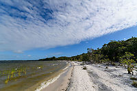 Palmarium coast - 3, Madagascar https://www.jungledragon.com/image/88959/palmarium_coast_madagascar.html<br />
https://www.jungledragon.com/image/88960/palmarium_coast_-_2_madagascar.html<br />
https://www.jungledragon.com/image/88962/palmarium_coast_-_4_madagascar.html Africa,Geotagged,Madagascar,Madagascar 2019,Palmarium reserve,Winter,World