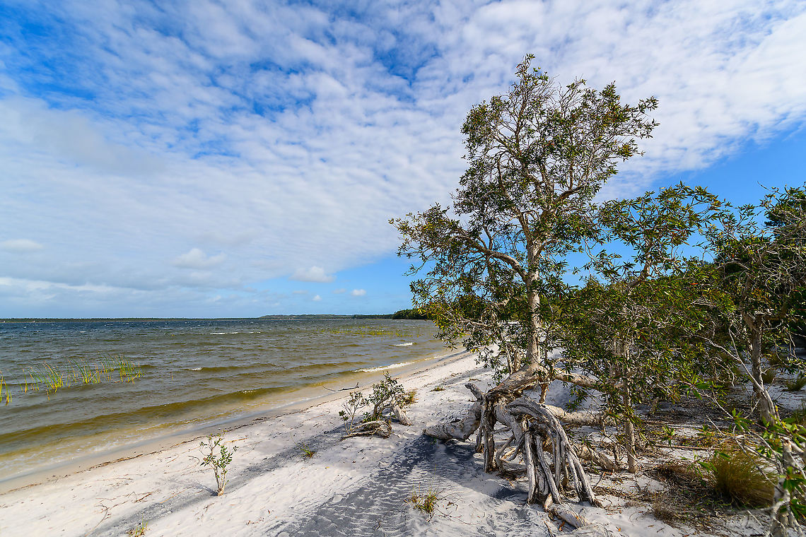 Palmarium coast - 4, Madagascar <figure class="photo"><a href="https://www.jungledragon.com/image/88959/palmarium_coast_madagascar.html" title="Palmarium coast, Madagascar"><img src="https://s3.amazonaws.com/media.jungledragon.com/images/2/88959_thumb.jpg?AWSAccessKeyId=05GMT0V3GWVNE7GGM1R2&Expires=1770854410&Signature=TlJ%2BShggnyCKiR2mFBGcRRB8HKs%3D" width="200" height="134" alt="Palmarium coast, Madagascar https://www.jungledragon.com/image/88960/palmarium_coast_-_2_madagascar.html<br />
https://www.jungledragon.com/image/88961/palmarium_coast_-_3_madagascar.html<br />
https://www.jungledragon.com/image/88962/palmarium_coast_-_4_madagascar.html Africa,Geotagged,Madagascar,Madagascar 2019,Palmarium reserve,Winter,World" /></a></figure><br />
<figure class="photo"><a href="https://www.jungledragon.com/image/88960/palmarium_coast_-_2_madagascar.html" title="Palmarium coast - 2, Madagascar"><img src="https://s3.amazonaws.com/media.jungledragon.com/images/2/88960_thumb.jpg?AWSAccessKeyId=05GMT0V3GWVNE7GGM1R2&Expires=1770854410&Signature=qxqHZTs6zy0OJvL7hKXT0Vj27SI%3D" width="200" height="134" alt="Palmarium coast - 2, Madagascar https://www.jungledragon.com/image/88959/palmarium_coast_madagascar.html<br />
https://www.jungledragon.com/image/88961/palmarium_coast_-_3_madagascar.html<br />
https://www.jungledragon.com/image/88962/palmarium_coast_-_4_madagascar.html Africa,Geotagged,Madagascar,Madagascar 2019,Palmarium reserve,Winter,World" /></a></figure><br />
<figure class="photo"><a href="https://www.jungledragon.com/image/88961/palmarium_coast_-_3_madagascar.html" title="Palmarium coast - 3, Madagascar"><img src="https://s3.amazonaws.com/media.jungledragon.com/images/2/88961_thumb.jpg?AWSAccessKeyId=05GMT0V3GWVNE7GGM1R2&Expires=1770854410&Signature=WjL0HKMKEaAdCqH2hjXKHnYseEQ%3D" width="200" height="134" alt="Palmarium coast - 3, Madagascar https://www.jungledragon.com/image/88959/palmarium_coast_madagascar.html<br />
https://www.jungledragon.com/image/88960/palmarium_coast_-_2_madagascar.html<br />
https://www.jungledragon.com/image/88962/palmarium_coast_-_4_madagascar.html Africa,Geotagged,Madagascar,Madagascar 2019,Palmarium reserve,Winter,World" /></a></figure> Africa,Geotagged,Madagascar,Madagascar 2019,Palmarium reserve,Winter,World