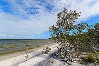 Palmarium coast - 4, Madagascar https://www.jungledragon.com/image/88959/palmarium_coast_madagascar.html<br />
https://www.jungledragon.com/image/88960/palmarium_coast_-_2_madagascar.html<br />
https://www.jungledragon.com/image/88961/palmarium_coast_-_3_madagascar.html Africa,Geotagged,Madagascar,Madagascar 2019,Palmarium reserve,Winter,World