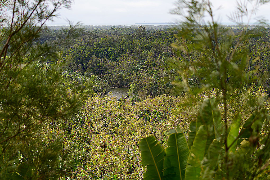 Ivoloina Park view, Madagascar Just a quick snap from the highest point in Ivoloina Park. In the middle is the artificial lake at ground level, where also all accommodation and cages are. Far in the background is the Indian Ocean.<br />
<br />
Ivoloina Park serves multiple purposes, it is a research center, rehabilitation center and somewhat of a small zoo and larger reserve. Africa,Ivoloina park,Madagascar,Madagascar 2019,World