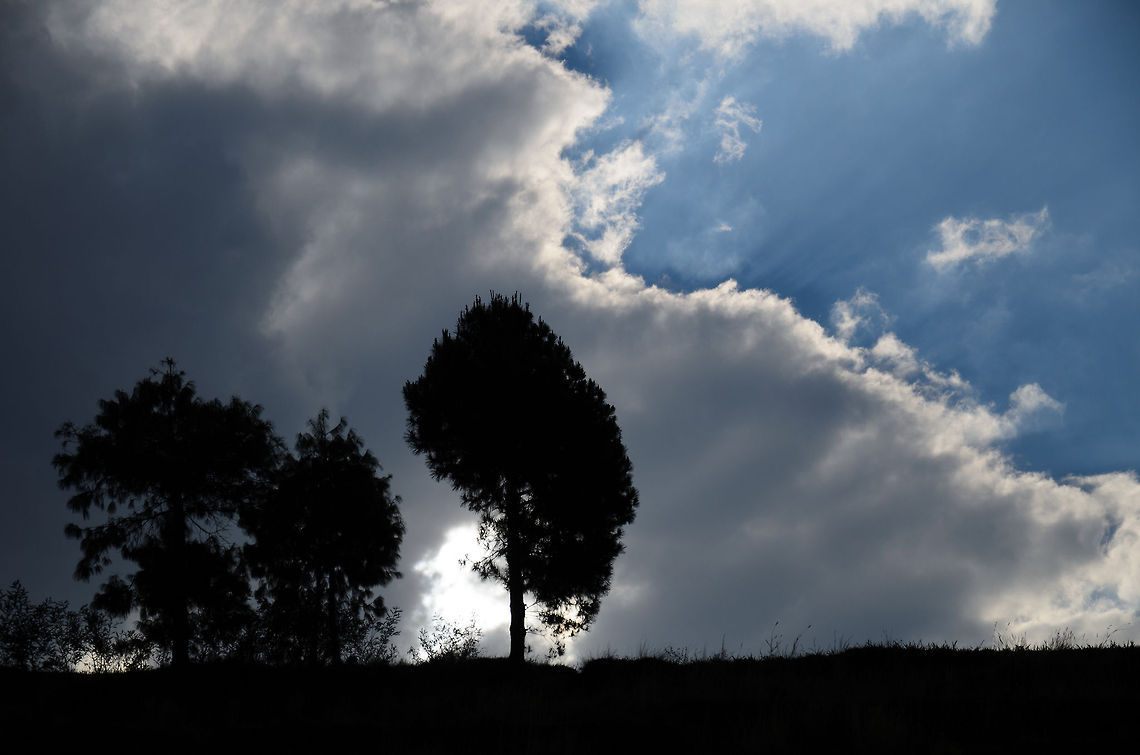 Lake Tritriva tree line Sort of an abstract effect, although this one is out of camera without post processing. This is a shot of the high tree lines surrounding Lake Tritriva, a crater lake in Madagascar. Geotagged,Lake Tritriva,Madagascar
