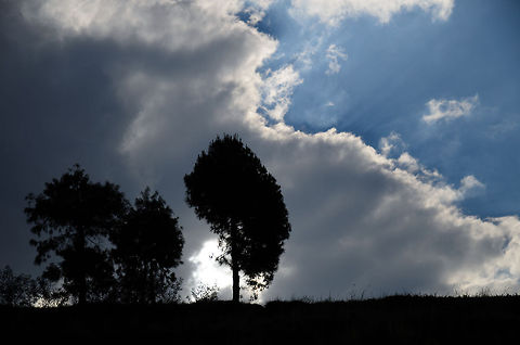 Lake Tritriva tree line Sort of an abstract effect, although this one is out of camera without post processing. This is a shot of the high tree lines surrounding Lake Tritriva, a crater lake in Madagascar. Geotagged,Lake Tritriva,Madagascar