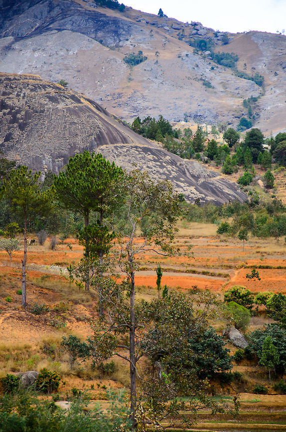Ambositra landscapes 2 The scarred beauty of the Ambositra area, a mixture of mountain ranges, the typical red soil of Madagascar, agriculture and some small pockets of green. Ambositra,Geotagged,Madagascar