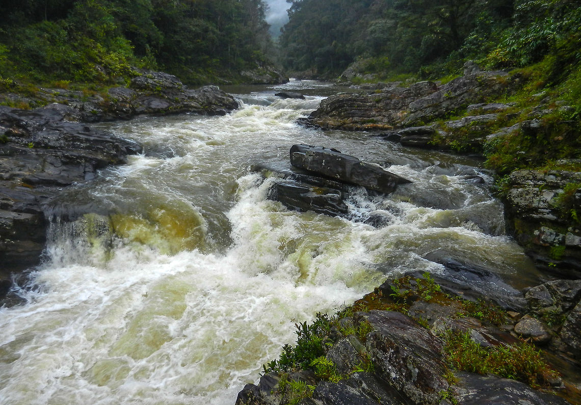 Life stream This waterfall/river is the life stream of the Ranomafana area. The water is used for everything from drinking water to agriculture to being the main source of elecriticty. Madagascar,Ranomafana National Park,Waterfall
