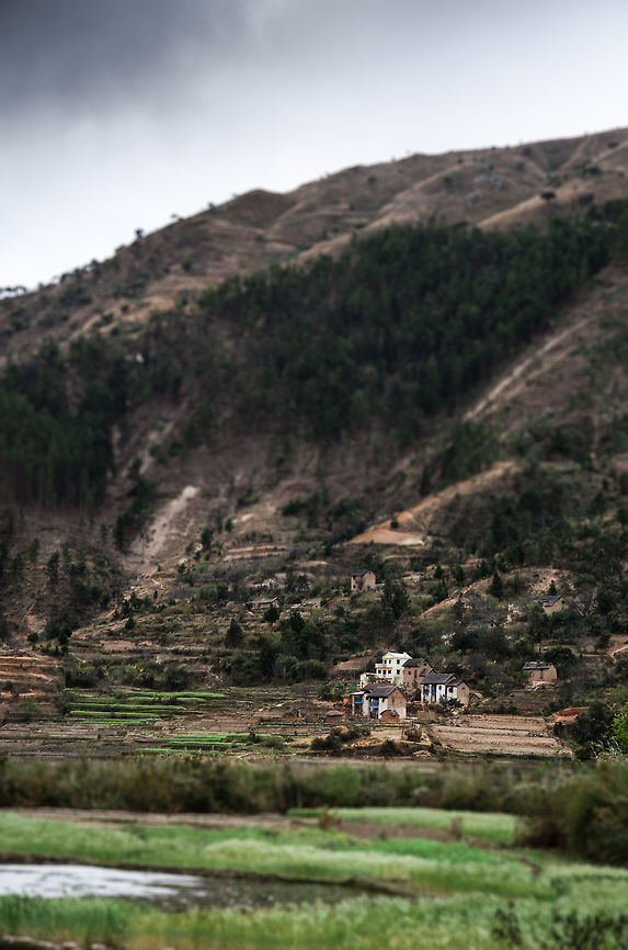 Ambositra landscapes 4 A tilt-shift landscape of an Ambositra landscape showing mountain ranges, high-growing trees, rice fields as well as some human settlements. Ambositra was not one of our destinations, it's simply an area we travelled through in between two major wildlife destination: Andasibe and Ranomafana.<br />
<br />
Although scarred, the Madagascar landscapes are beautiful and you're tempted to stop at every corner. If you do, be quick about it, because it only takes minutes for locals to notice you and start their begging ritual. Ambositra,Geotagged,Madagascar