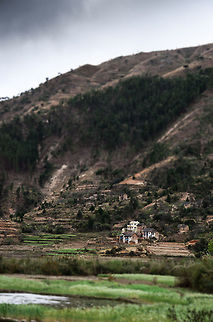 Ambositra landscapes 4 A tilt-shift landscape of an Ambositra landscape showing mountain ranges, high-growing trees, rice fields as well as some human settlements. Ambositra was not one of our destinations, it's simply an area we travelled through in between two major wildlife destination: Andasibe and Ranomafana.

Although scarred, the Madagascar landscapes are beautiful and you're tempted to stop at every corner. If you do, be quick about it, because it only takes minutes for locals to notice you and start their begging ritual. Ambositra,Geotagged,Madagascar