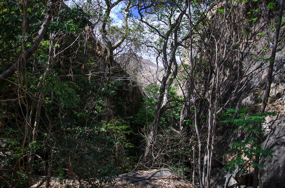 Anja Reserve habitat This shot does not highlight any subject in particular, it's just an impression of the habitat of the Anja Reserve in Madagascar. The odd thing occuring to us is the lush green vegetation growing amongst rock formations. Anja Reserve,Geotagged,Madagascar