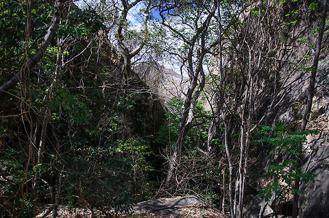 Anja Reserve habitat This shot does not highlight any subject in particular, it's just an impression of the habitat of the Anja Reserve in Madagascar. The odd thing occuring to us is the lush green vegetation growing amongst rock formations. Anja Reserve,Geotagged,Madagascar