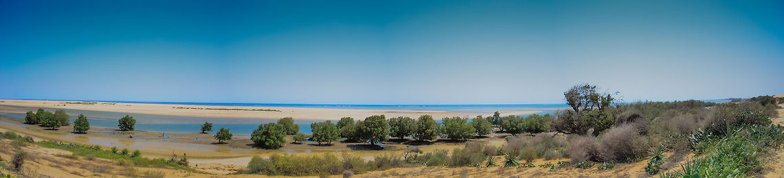 Panorame of mangrove beach at Ifaty, Madagascar This is what we passed right before landing in our beach house in Ifaty. The road towards here is a bumpy sand road and you&#039;ll pass some very poor villages. In all other countries we visited beach areas are usually the richest, but not here. Geotagged,Ifaty,Madagascar,Panorama
