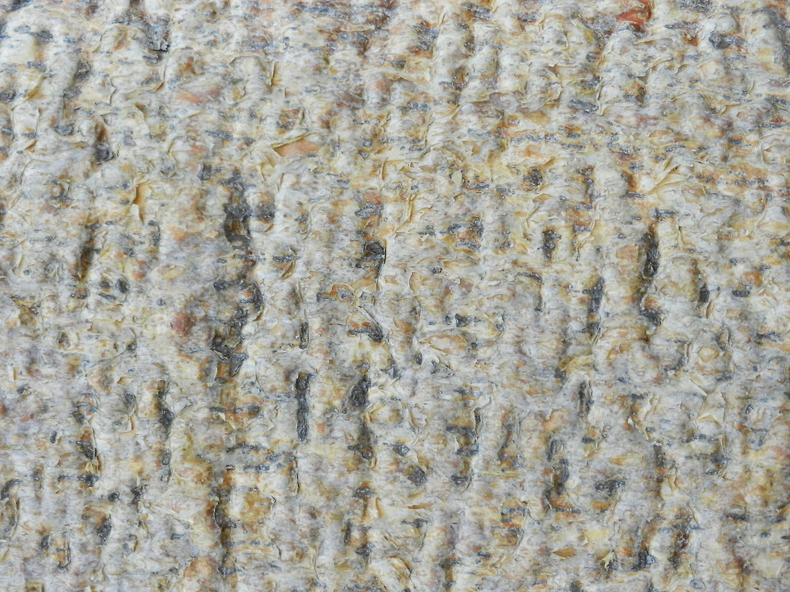 Adamsonia za berk A closeup of the berk of the Adamsonia za giant baobab tree found in the Spiny forest of Madagascar. The texture's look and feel reveals how resistant it must be to several elements. Adamsonia za,Adansonia za,Ifaty,Madagascar,Spiny Forest