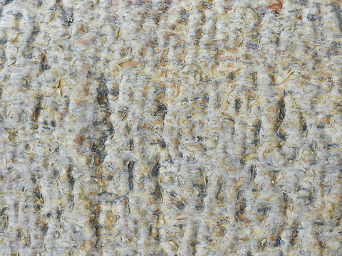 Adamsonia za berk A closeup of the berk of the Adamsonia za giant baobab tree found in the Spiny forest of Madagascar. The texture's look and feel reveals how resistant it must be to several elements. Adamsonia za,Adansonia za,Ifaty,Madagascar,Spiny Forest