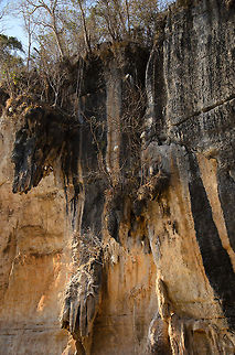 Limestone cliffs at Tsingy 1  Dimorphic Egret,Egretta dimorpha,Geotagged,Madagascar,Tsingy de Bemaraha National Park