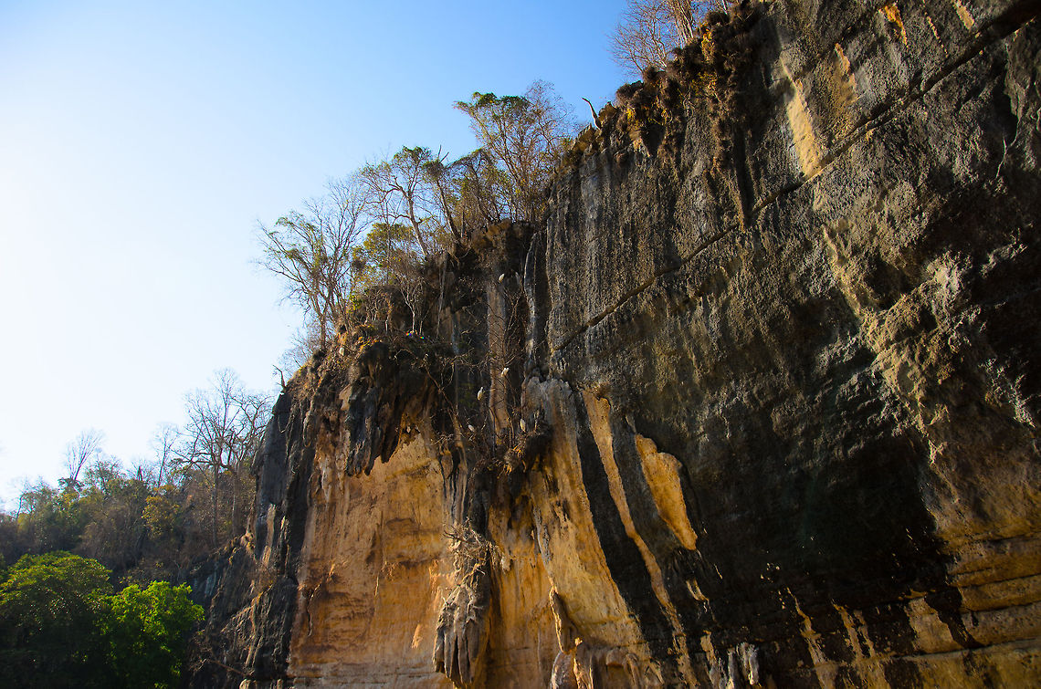 Limestone cliffs at Tsingy 3  Dimorphic Egret,Egretta dimorpha,Madagascar,Tsingy de Bemaraha National Park