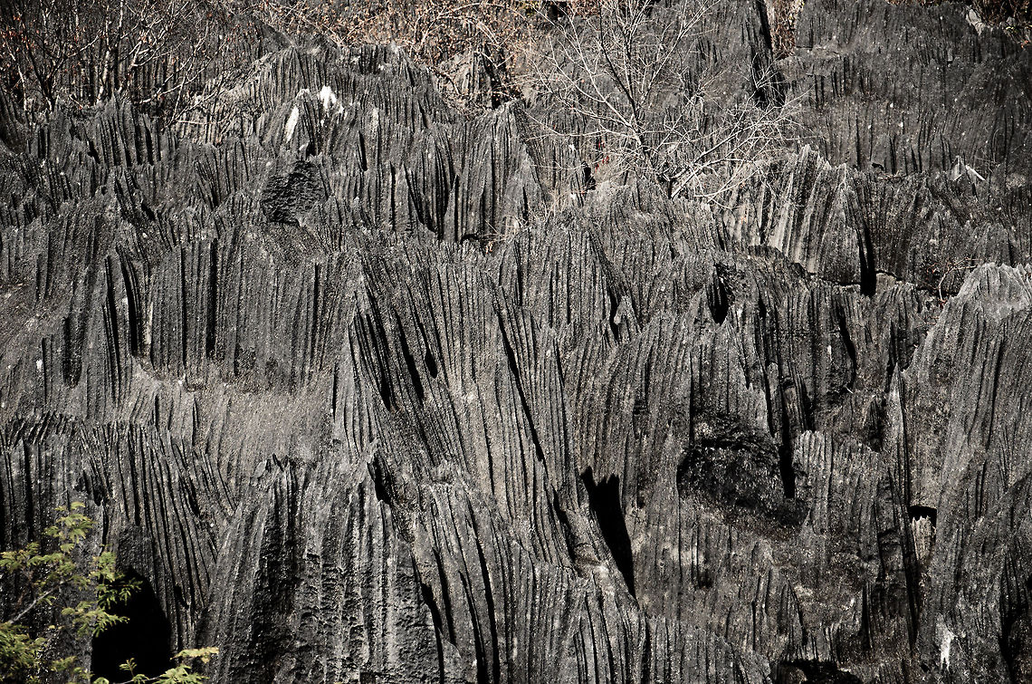 Dangerous playground An overview of part of the Tsingy site, with its famous and bizarre limestone formations. As pointy and sharp as these formations are, still it is the home of lemurs and other creatures who seem not to care at all about the danger.  Geotagged,Madagascar,Tsingy de Bemaraha National Park