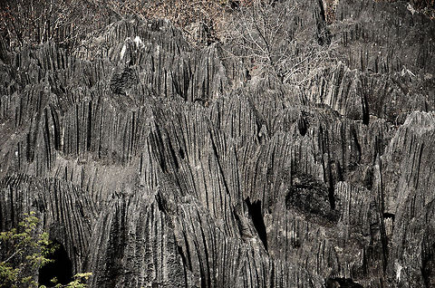 Dangerous playground An overview of part of the Tsingy site, with its famous and bizarre limestone formations. As pointy and sharp as these formations are, still it is the home of lemurs and other creatures who seem not to care at all about the danger.  Geotagged,Madagascar,Tsingy de Bemaraha National Park
