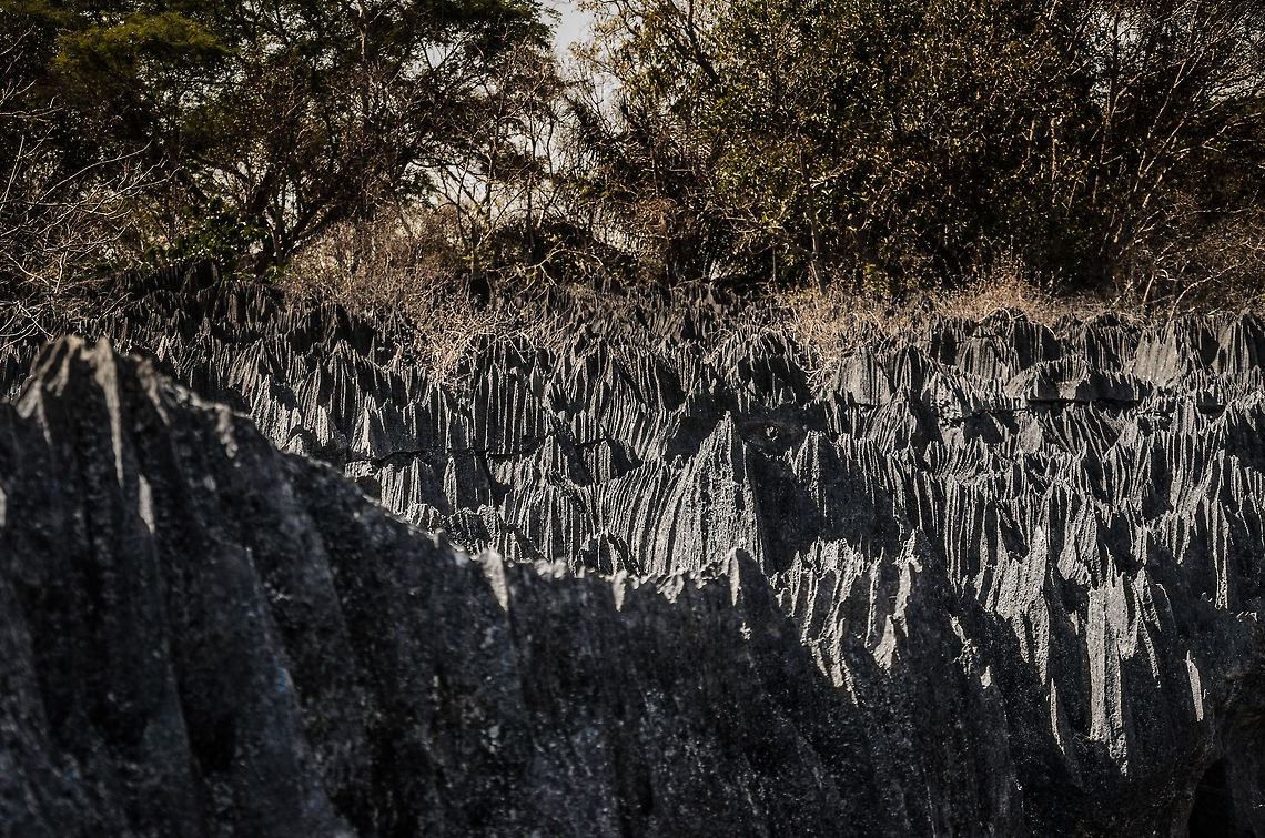Tsingy landscape 2 Landscape of the famous limestone formations of Tsingy, Madagascar, part of the UNESCO world heritage list. Geotagged,Madagascar,Tsingy de Bemaraha National Park