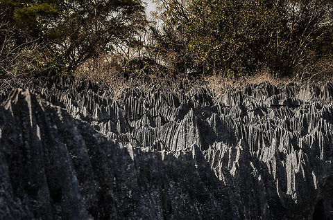 Tsingy landscape 2 Landscape of the famous limestone formations of Tsingy, Madagascar, part of the UNESCO world heritage list. Geotagged,Madagascar,Tsingy de Bemaraha National Park