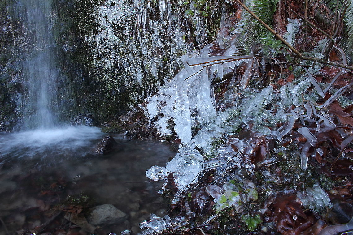 New Years  morning brrr Small fall Snohomish County Waterfall,ice