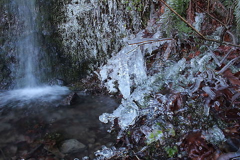 New Years  morning brrr Small fall Snohomish County Waterfall,ice