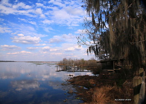 Summer_Afternoon_At_The_Lake