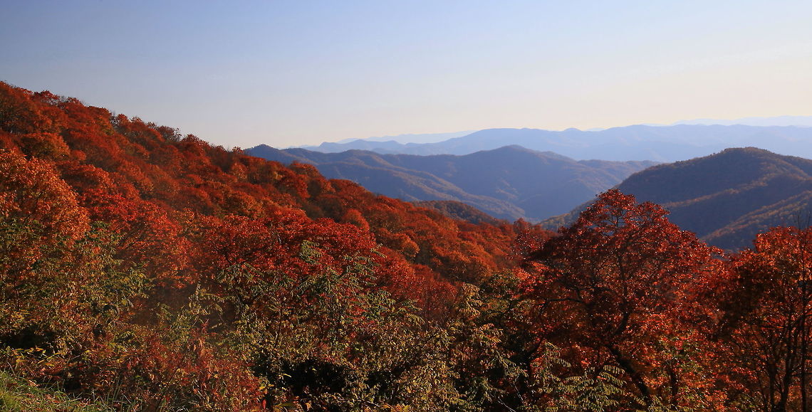 Mother_Natures_Finest