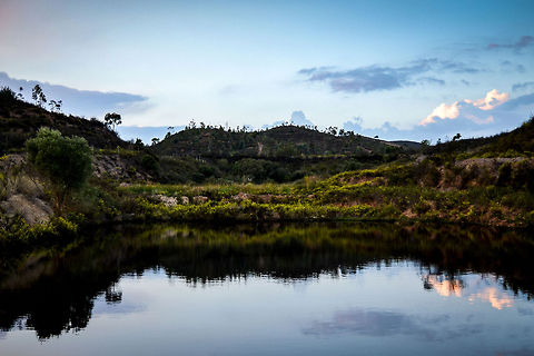 Pond, a place to wildlife diversity This fantastic pond houses a huge number of species, making it one of the most important habitats for animals here in Portugal. Geotagged,Portugal