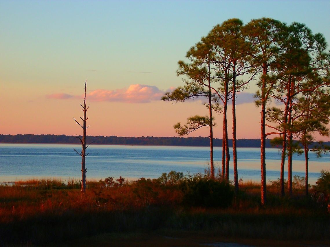Painted Southern Sunset I took this photo on a random day visiting Hilton Head Island in South Carolina.  Despite most of the South, it was interesting to me to see how life flourishes differently in the Fall and Winter Months.  The trees are Loblolly Pine, and I feel the title is fitting because the sun and lighting gave the effect of the photo being painted.   Geotagged,Pinus taeda,United States