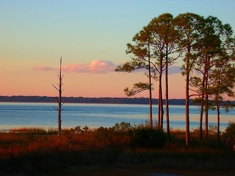 Painted Southern Sunset I took this photo on a random day visiting Hilton Head Island in South Carolina.  Despite most of the South, it was interesting to me to see how life flourishes differently in the Fall and Winter Months.  The trees are Loblolly Pine, and I feel the title is fitting because the sun and lighting gave the effect of the photo being painted.   Geotagged,Pinus taeda,United States