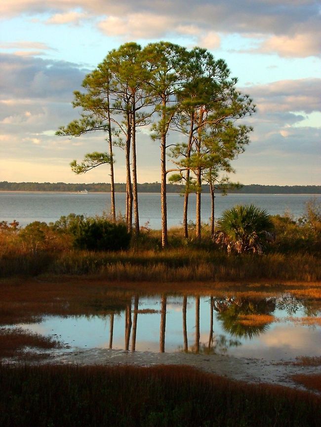Bungalow Sunset This is one of my favorite shots I took in Hilton Head, SC.  This was a very strange day weather wise as it had rained earlier in the afternoon, but cleared up in time for a seemingly very early sunset.   One of the reasons I love this photo is because it depicts nature&#039;s symmetry with major contrasts of a cool sky and warm earth.    Geotagged,Pinus taeda,United States