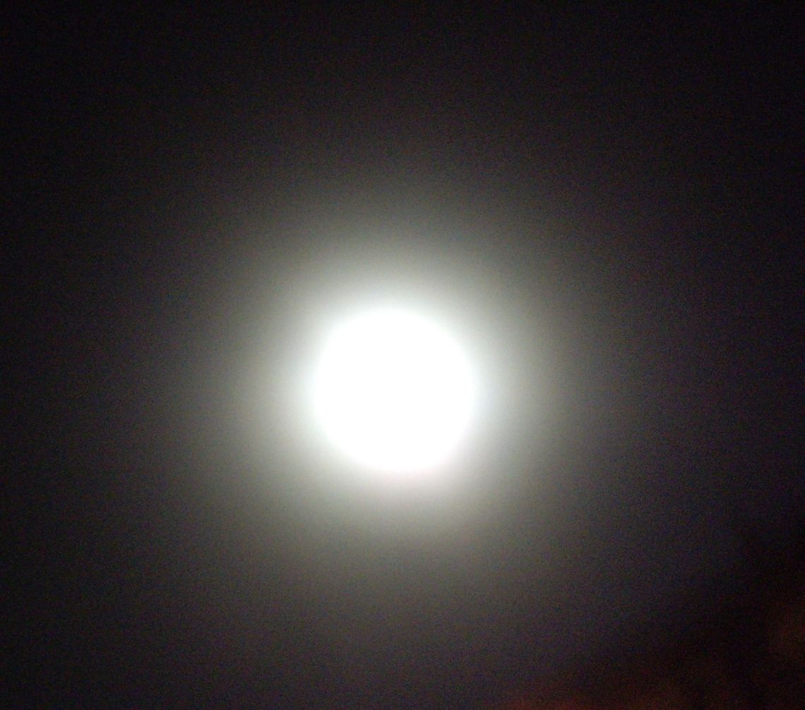 Moon  Moon
