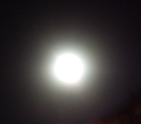 Moon  Moon