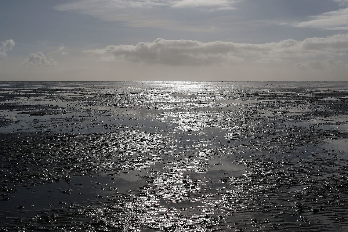 Tidal flat, Wadden Sea Tidal flat, seascape, Vlieland The Netherlands. This picture is made during low tide, twice a day the sea bed is exposed. But be careful where you walk, you might get stuck in the mud.<br />
<br />
The Wadden Sea is an intertidal zone in the southeastern part of the North Sea. It lies between the coast of northwestern continental Europe and the range of Frisian Islands, forming a shallow body of water with tidal flats and wetlands. It is rich in biological diversity. At the end of June 2009, the Wadden Sea was declared an UNESCO World Heritage Site.  Geotagged,Netherlands,landscape,seascapes,wadden sea,waddenzee