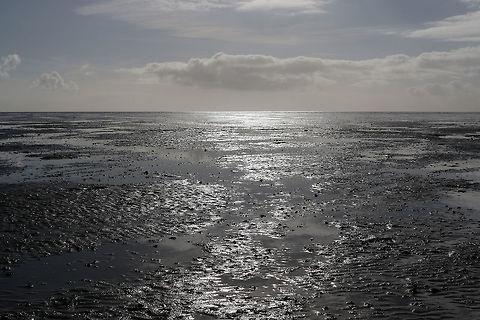 Tidal flat, Wadden Sea Tidal flat, seascape, Vlieland The Netherlands. This picture is made during low tide, twice a day the sea bed is exposed. But be careful where you walk, you might get stuck in the mud.

The Wadden Sea is an intertidal zone in the southeastern part of the North Sea. It lies between the coast of northwestern continental Europe and the range of Frisian Islands, forming a shallow body of water with tidal flats and wetlands. It is rich in biological diversity. At the end of June 2009, the Wadden Sea was declared an UNESCO World Heritage Site.  Geotagged,Netherlands,landscape,seascapes,wadden sea,waddenzee