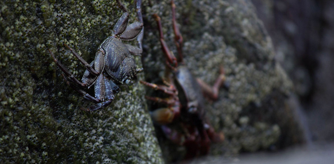 169  Geotagged,India