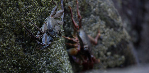 169  Geotagged,India