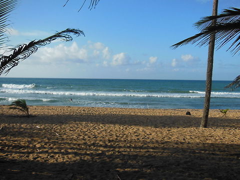 Aviones Beach While on my trip to Puerto Rico, we stopped to visit the beach where my father became a Surfing Legend.  Geotagged,Puerto Rico,Summer