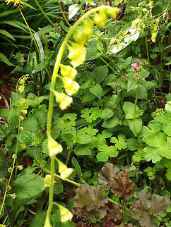 DSCF4830  Geotagged,United Kingdom,Winter