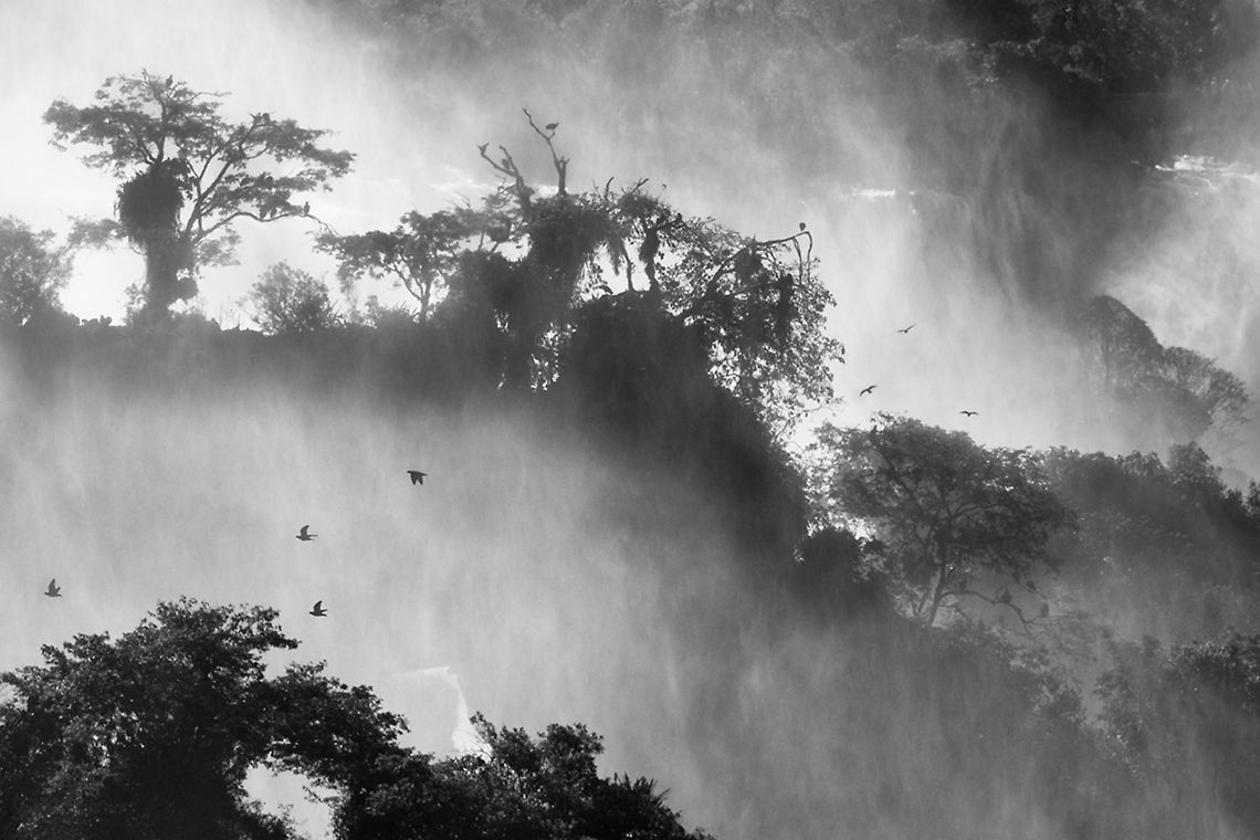 The Iguazu Falls - Brasil Have been there twice and it was a world of difference. The first time the waterfalls were nearly dry and now there was an explosion of water. Really great to see. Brazil,Foz do Iguaçu,Geotagged,Iguazu falls,waterfalls