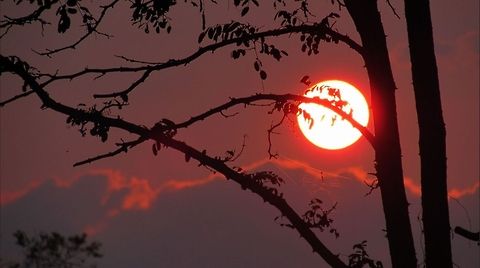 Sunset Spider Web Sunset. Clouds,Silhoutte,Spiderweb,Sun,Sunset,Tree