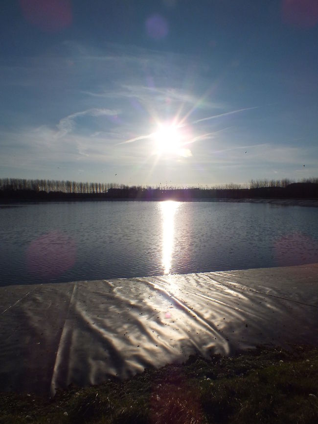 Early Christmas Morning