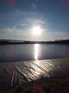 Early Christmas Morning