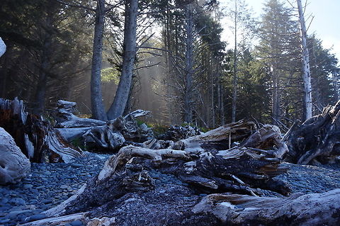 DSC06599  Geotagged,United States