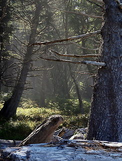 twilight_sepulcher1