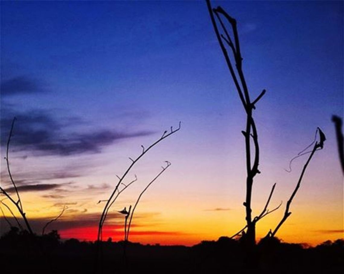 nature picture Nikon L29  nature