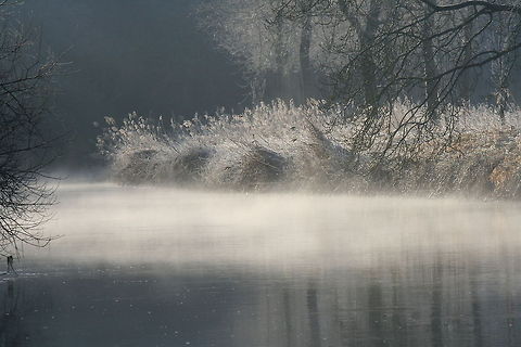 mists on the river avon This was taken in Fordingbridge, Hampshire, on a crisp January morning.