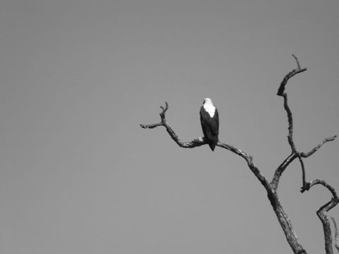 No where to go After shooting a few shots both up close and further away I switched to black and white for more of a dramatic effect.