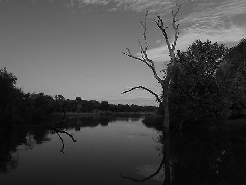 The Darkness of Nature Taken at a hide in the Kruger park.