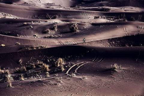 Dital_of_desert This photo show us detail of  desert in central area in Iran. wild nature
